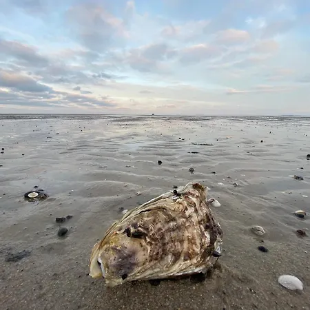 Brandenburgerstr 5 Wg 23 Apartman *