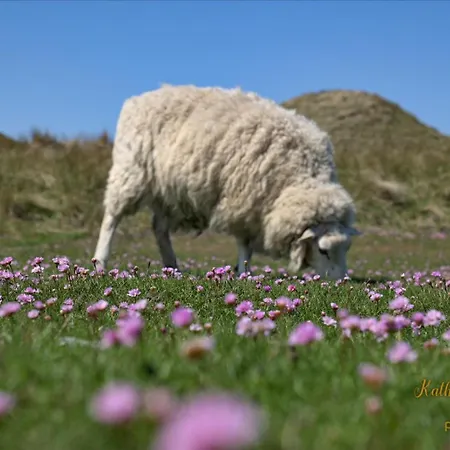 Apartman Brandenburgerstr 5 Wg 23 *